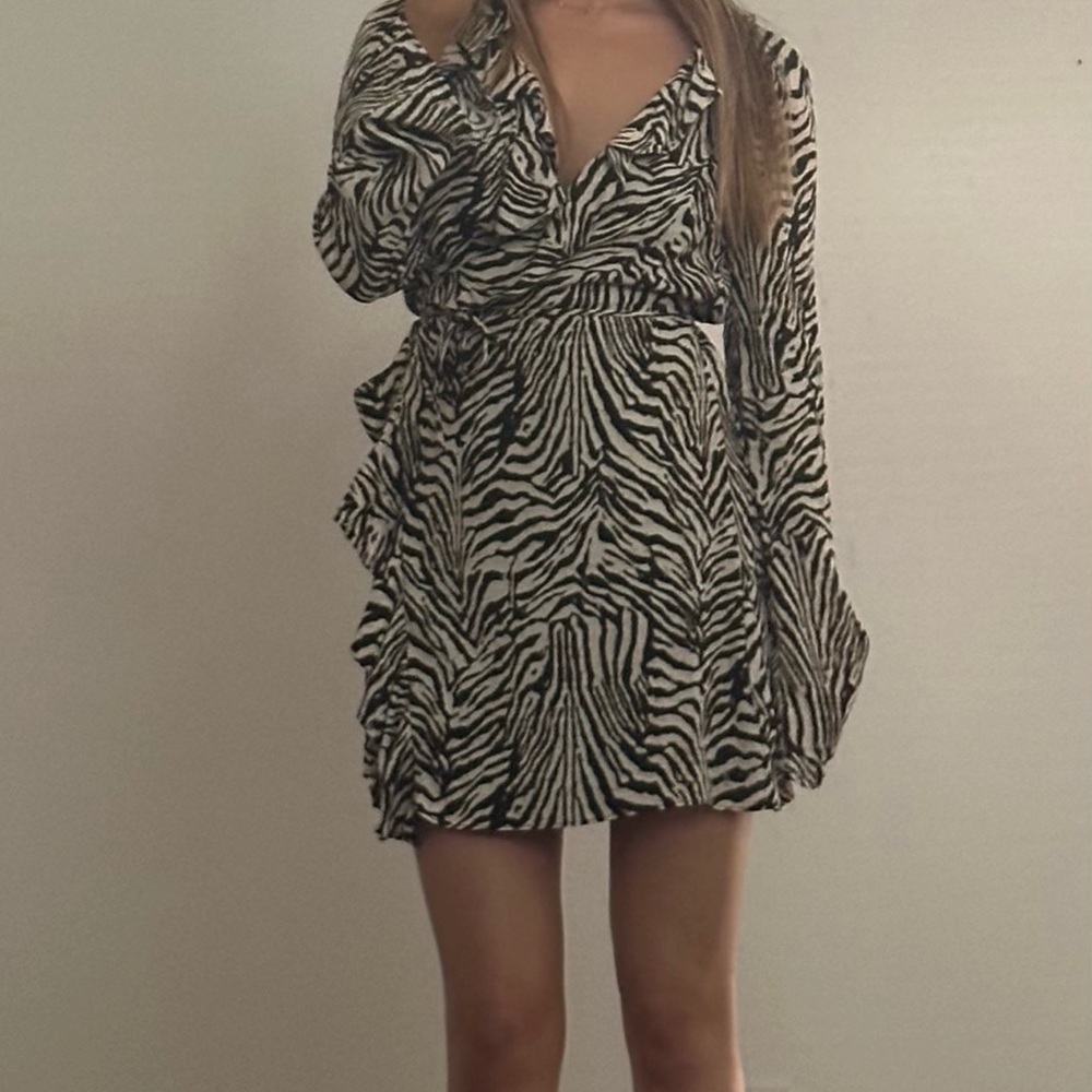 Zara Monochrome Zebra Print Long Sleeve Dress